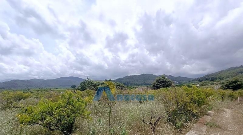 Valencia - Oliva - 17959m2