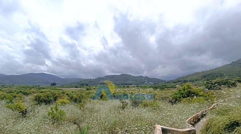 Valencia - Oliva - 17959m2
