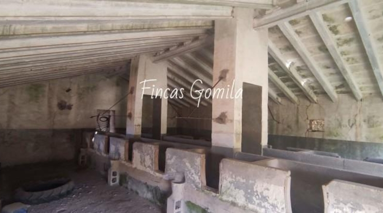 Islas Baleares - es Mercadal - 227685m2