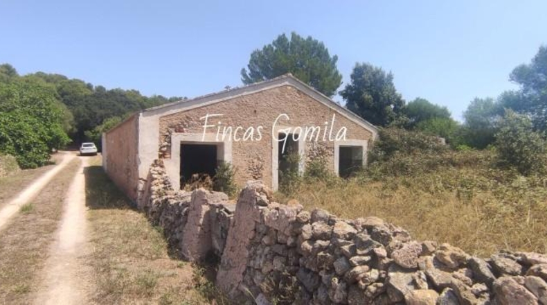 Islas Baleares - es Mercadal - 227685m2