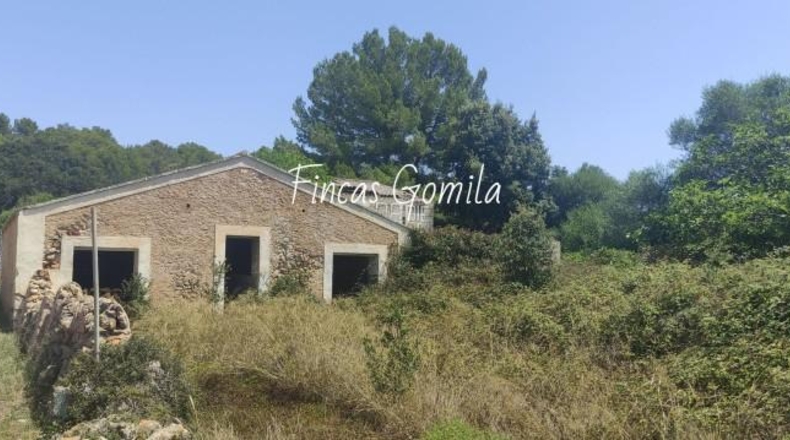 Islas Baleares - es Mercadal - 227685m2