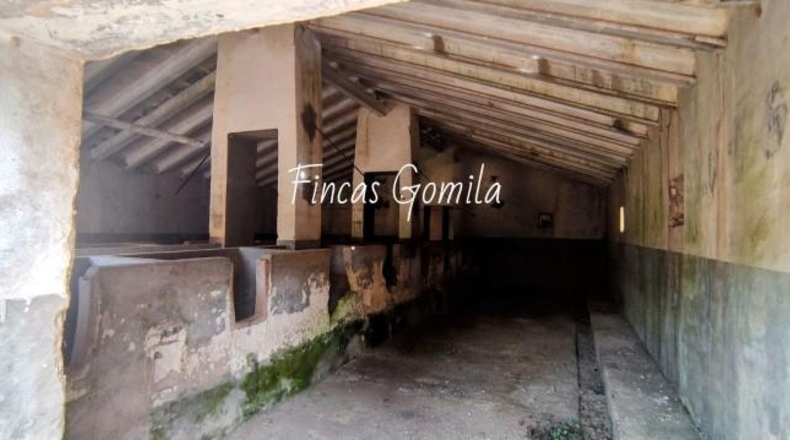 Islas Baleares - es Mercadal - 227685m2