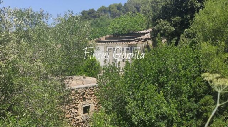 Islas Baleares - es Mercadal - 227685m2