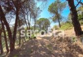 Land suitable for development for sale on España, Lloret de Mar, ref: TR123438 photo