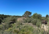Country house with land for sale on España, Llucmajor, ref: TR174664 photo