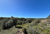 Country house with land for sale on España, Llucmajor, ref: TR174664 photo
