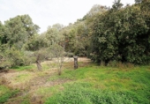Casa de camp amb terreny en venda a la España, Teror, ref.: TR156543 foto