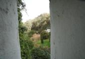 Casa de camp amb terreny en venda a la España, Teror, ref.: TR156543 foto