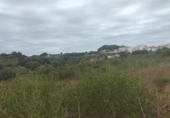 Sòl urbà en venda a la España, Alaior, ref.: TR332258 foto