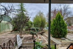 Foto 15