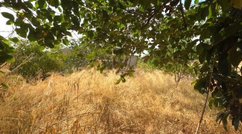 Balearic Islands - Las Salinas - 286m2