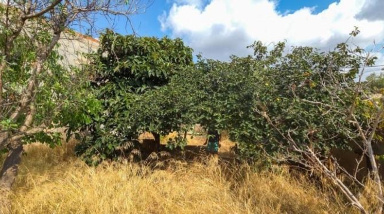 Balearic Islands - Las Salinas - 286m2
