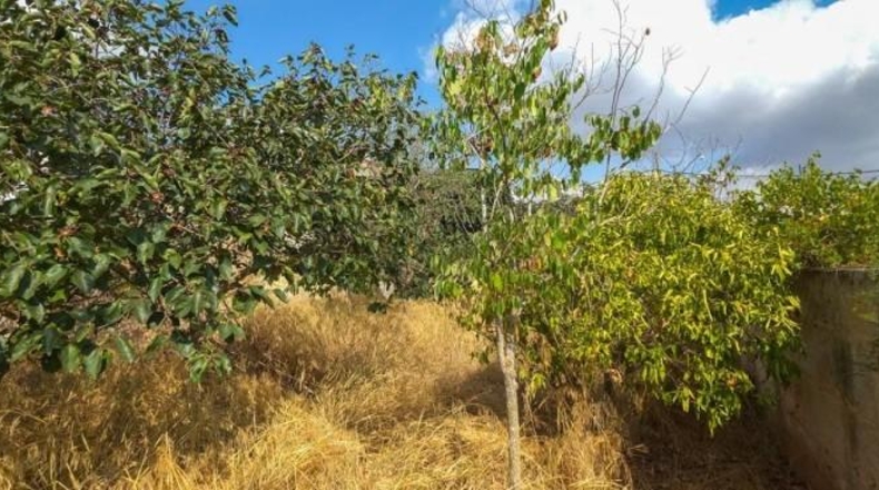 Balearic Islands - Las Salinas - 286m2