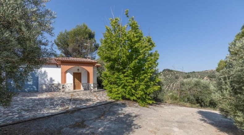 Granada - Montefrío - 55000m2