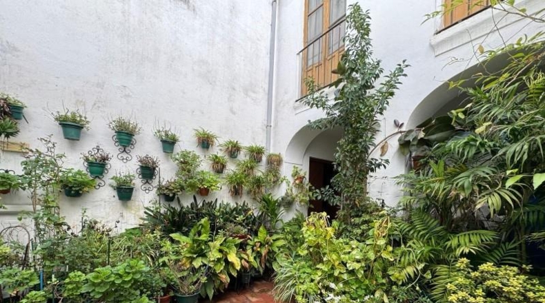 Córdoba - Córdoba - 560m2