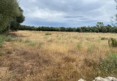 Parcel·la urbanitzable en venda a la España, Felanitx, ref.: TR128485 foto