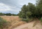 Parcel·la urbanitzable en venda a la España, Felanitx, ref.: TR128485 foto