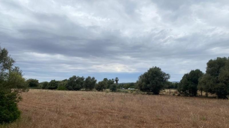 Islas Baleares - Felanitx - 15430m2
