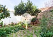 Chalet independiente con terreno en venta en la España, Benavites, ref: TR391622 foto