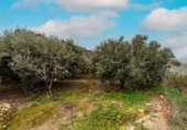 Chalet independiente con terreno en venta en la España, Canjáyar, ref: TR409867 foto