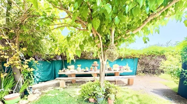 Illes Balears - Llubí - 3500m2