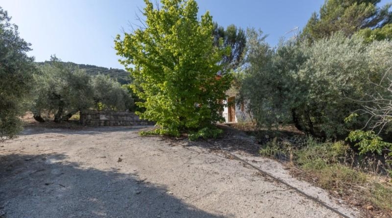 Granada - Montefrío - 55000m2