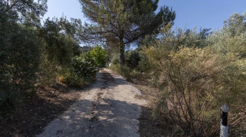 Granada - Montefrío - 55000m2