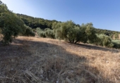 Casa con terreno en venta en la España, Montefrío, ref: TR346627 foto