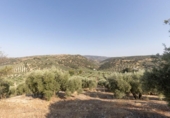 Casa con terreno en venta en la España, Montefrío, ref: TR346627 foto