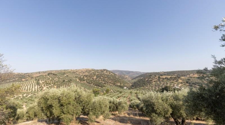 Granada - Montefrío - 55000m2