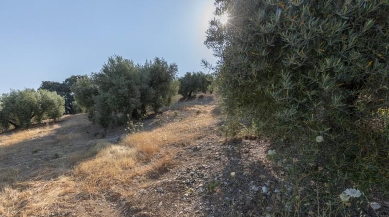 Granada - Montefrío - 55000m2
