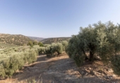 Casa con terreno en venta en la España, Montefrío, ref: TR346627 foto