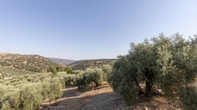 Granada - Montefrío - 55000m2