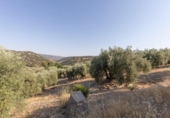 Casa con terreno en venta en la España, Montefrío, ref: TR346627 foto