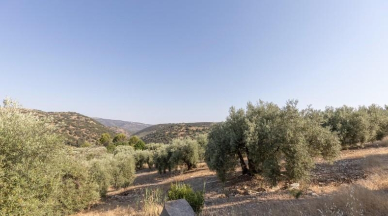 Granada - Montefrío - 55000m2