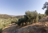 Casa con terreno en venta en la España, Montefrío, ref: TR346627 foto