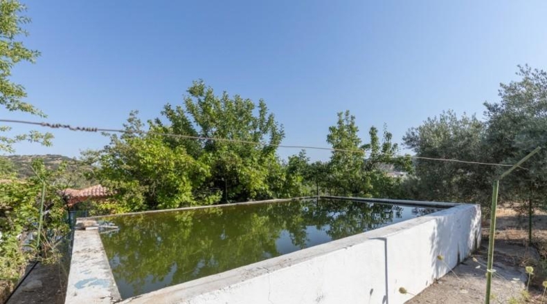 Granada - Montefrío - 55000m2
