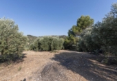 Casa con terreno en venta en la España, Montefrío, ref: TR346627 foto