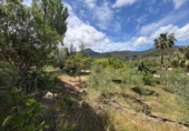 Suelo urbano en venta en la España, Puigpunyent, ref: TR409866 foto