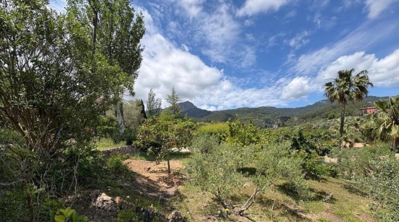 Islas Baleares - Puigpunyent - 508m2