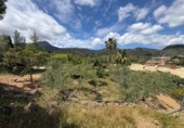 Suelo urbano en venta en la España, Puigpunyent, ref: TR409866 foto