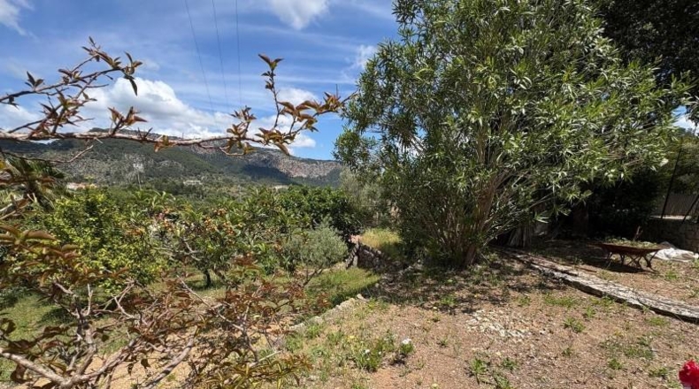 Islas Baleares - Puigpunyent - 508m2