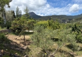 Suelo urbano en venta en la España, Puigpunyent, ref: TR409866 foto