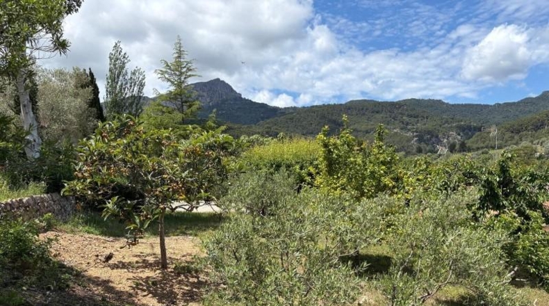 Islas Baleares - Puigpunyent - 508m2