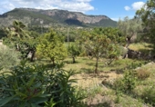 Suelo urbano en venta en la España, Puigpunyent, ref: TR409866 foto
