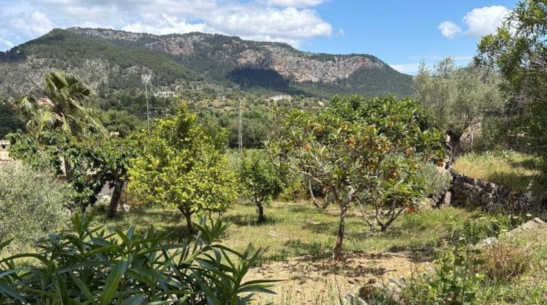 Islas Baleares - Puigpunyent - 508m2