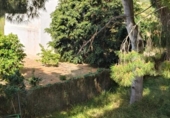 Chalet independiente con terreno en venta en la España, Picassent, ref: TR408672 foto