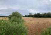 Terreno no urbanizable en venta en la España, Felanitx, ref: TR411493 foto