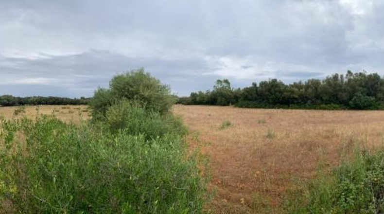 Illes Balears - Felanitx - 18853m2
