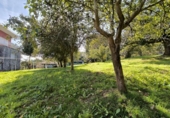 Chalet independiente con terreno en venta en la España, Nava, ref: TR343126 foto